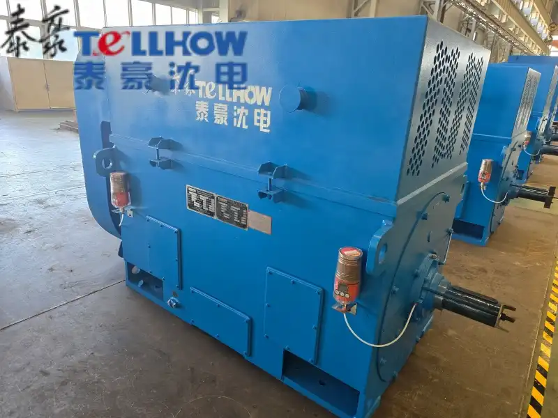 Tellhow Shenyang Electric Motor Co., Ltd.'s special motors have achieved uninterrupted and reliable operation throughout the year in a large-scale steel project in Russia, receiving high praise from the overseas client.